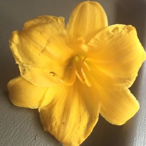 Meet your Posher, Nardos